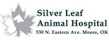 Silver Leaf Animal Hospital