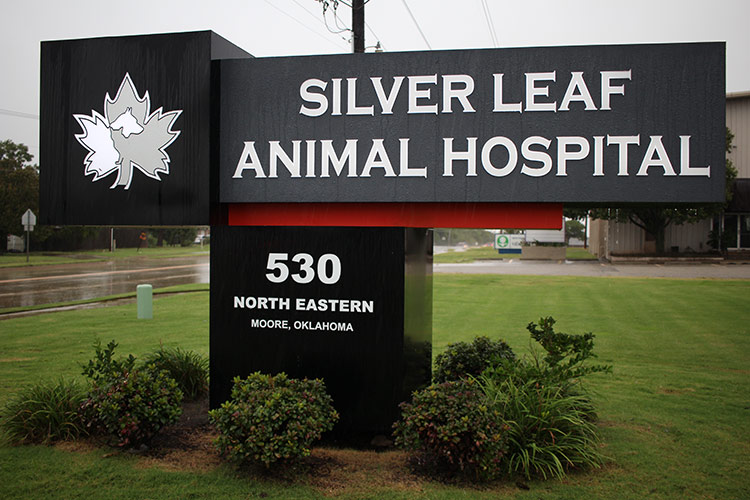 Silver Leaf Animal Hospital in Moore, OK