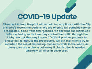 Silverleaf Animal Hospital Covid-19 Update