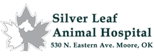 Silver Leaf Animal Hospital logo and address