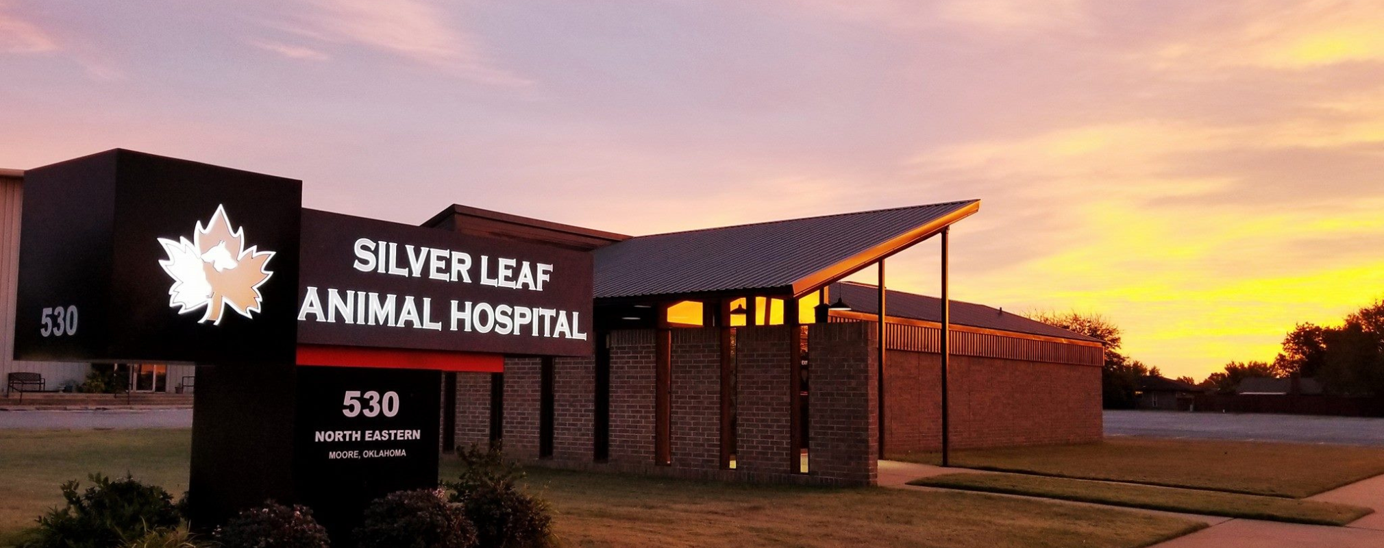 Veterinarian in Moore, OK │ Silver Leaf Animal Hospital