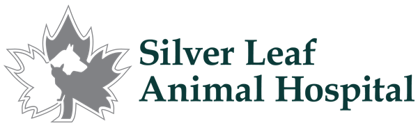 Silver Leaf Animal Hospital
